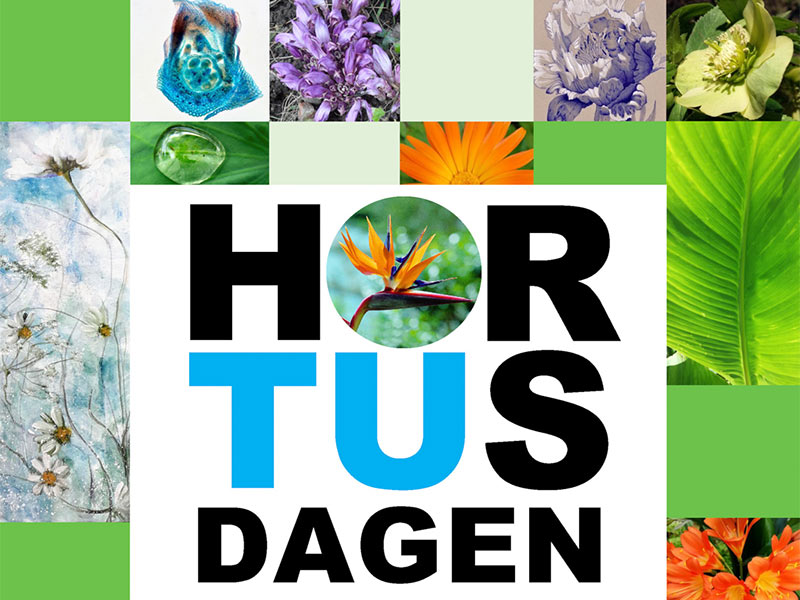 Hortus Dagen & Kunstmarkt